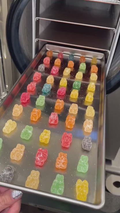 Freeze Dried Sour Gummy Bears