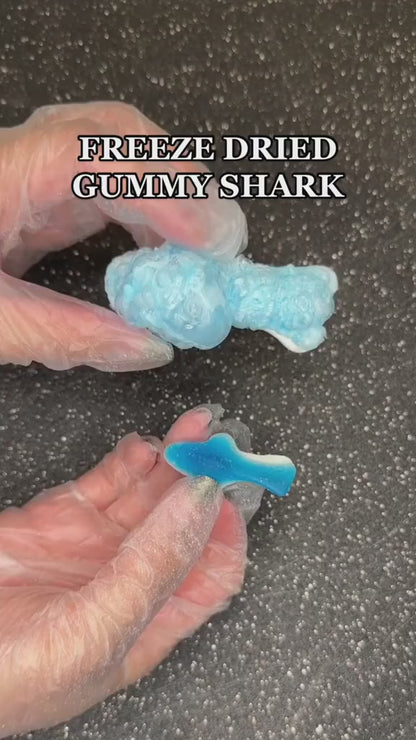 Freeze Dried Gummy Sharks